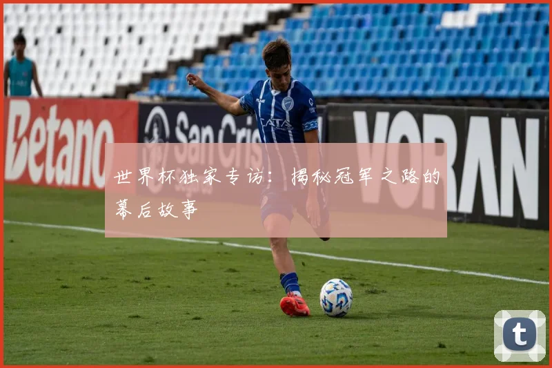 世界杯独家专访:揭秘冠军之路的幕后故事