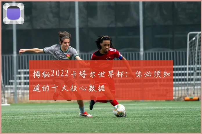 揭秘2022卡塔尔世界杯:你必须知道的十大核心数据