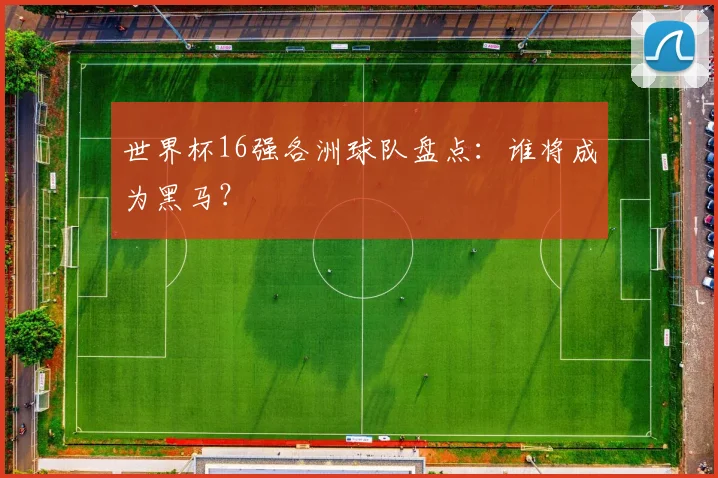 世界杯16强各洲球队盘点:谁将成为黑马?