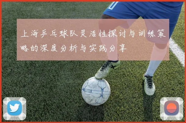 上海乒乓球队灵活性探讨与训练策略的深度分析与实践分享