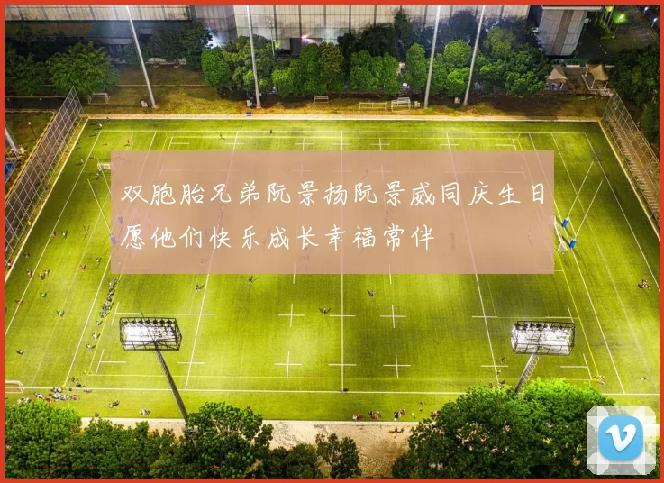 双胞胎兄弟阮景扬阮景威同庆生日愿他们快乐成长幸福常伴