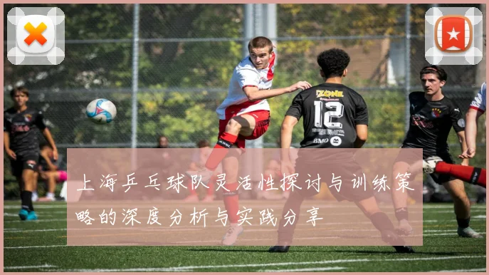 上海乒乓球队灵活性探讨与训练策略的深度分析与实践分享