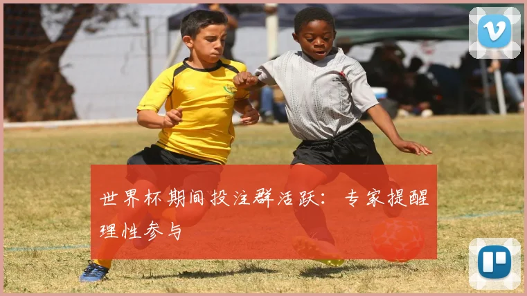 世界杯期间投注群活跃:专家提醒理性参与